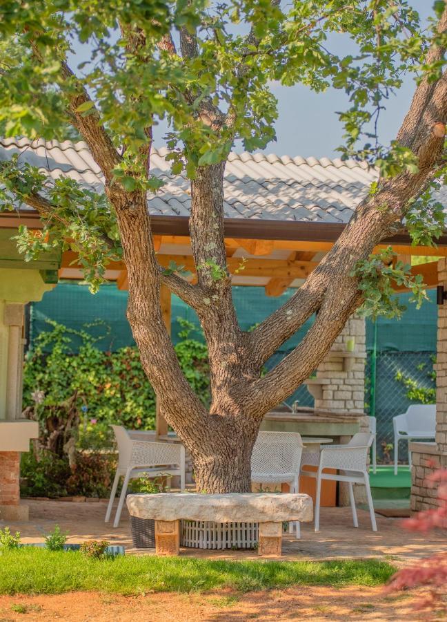 Studio App Luka-We Love Nature. Sveti Ivan  Exterior foto