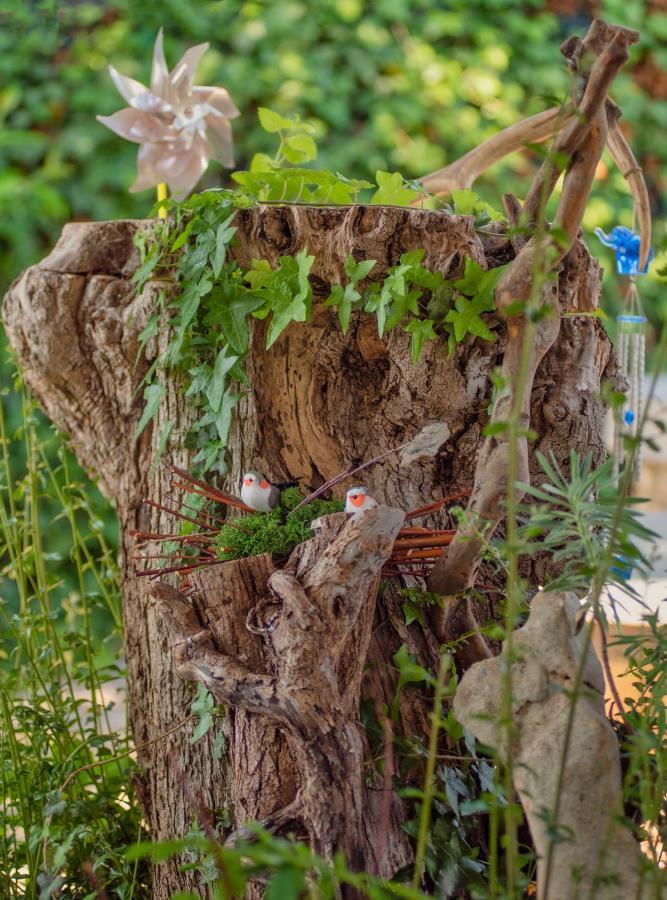 Studio App Luka-We Love Nature. Sveti Ivan  Exterior foto